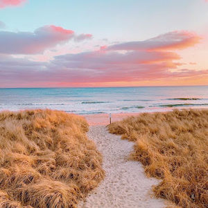 Meet your Posher, Jules